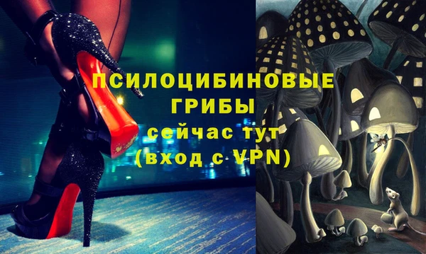 спайс Алексеевка