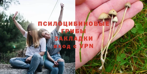 каннабис Алексин