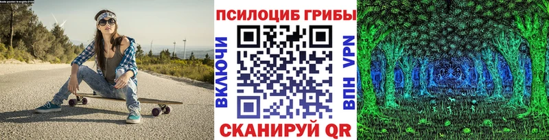 Псилоцибиновые грибы Psilocybine cubensis  магазин  наркотиков  Курчалой 