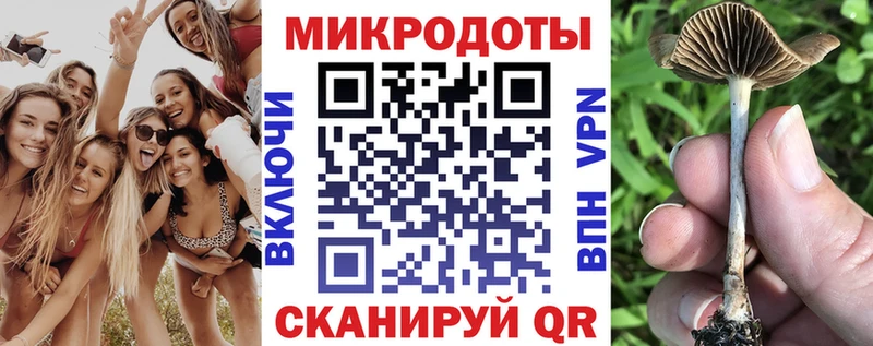 Псилоцибиновые грибы GOLDEN TEACHER Курчалой