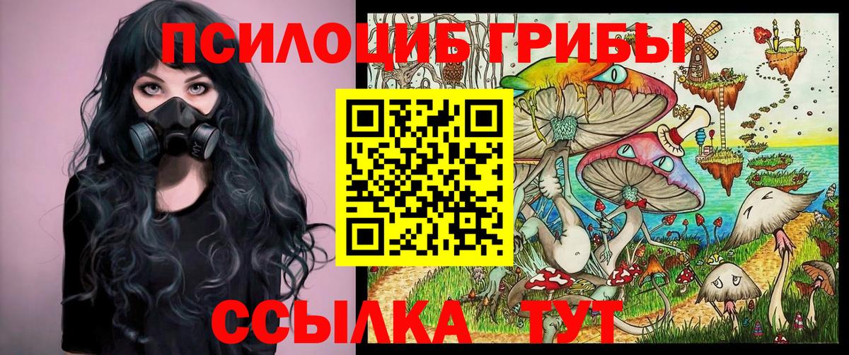 Галлюциногенные грибы прущие грибы Курчалой