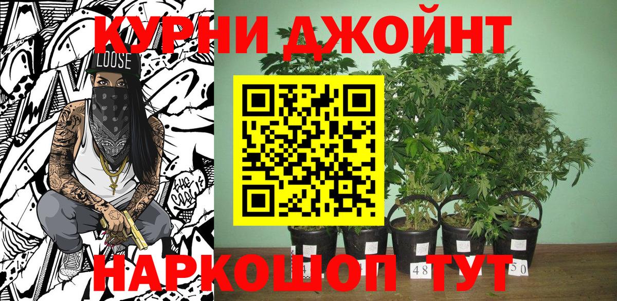 Марихуана AK-47  Вход с VPN  Каннабис гибрид  Шишки марихуана OG Kush  Бошки марихуана конопля  Курчалой 